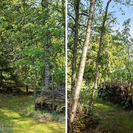 Дом отдыха Bl1466-pandrup-lunekrogen-14 Pandrup